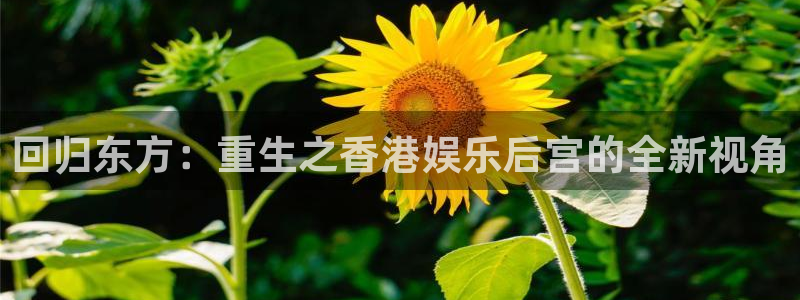 bevitor·伟德国际