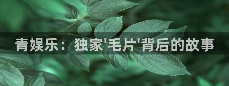 伟德国际1946体育