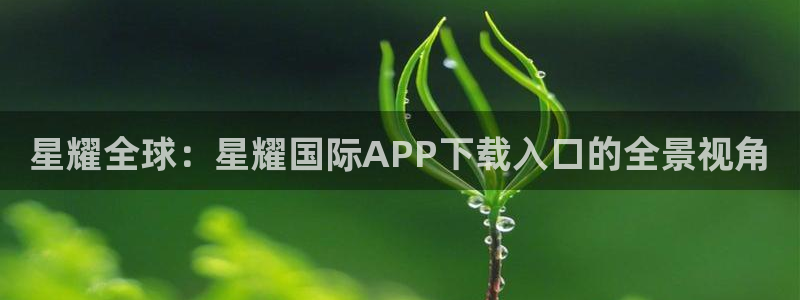 伟德国际吧
