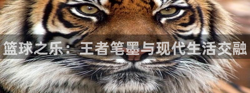 伟德国际app下载安装