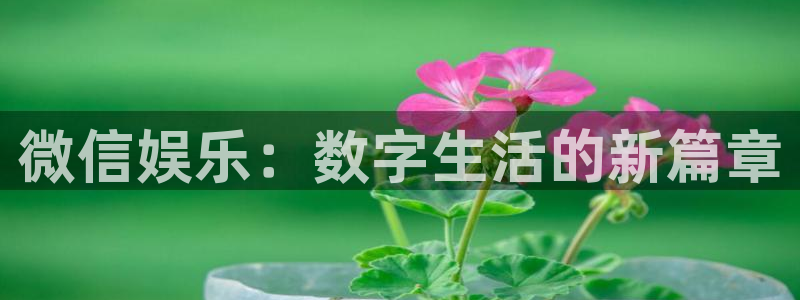伟德国际betvlctor1946