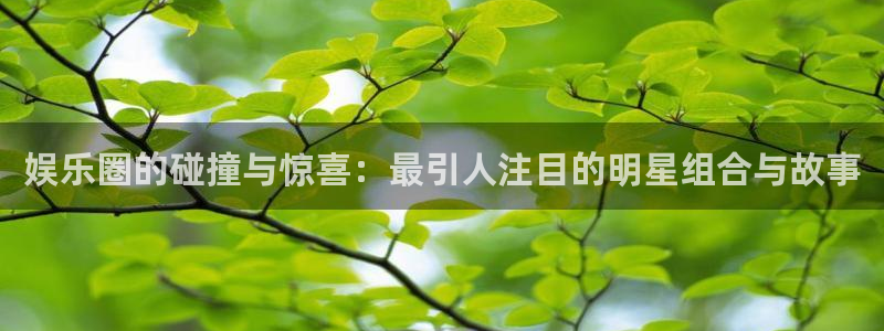 伟德国际1949