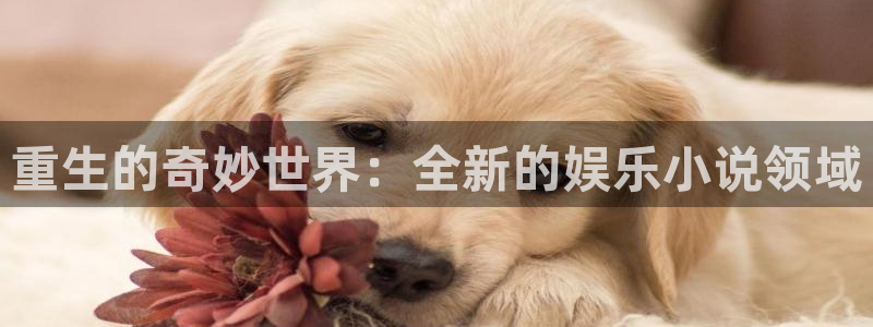 伟德国际betvlctor