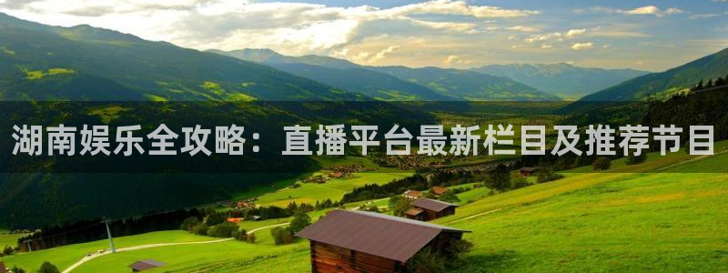 伟德国际企业有限公司