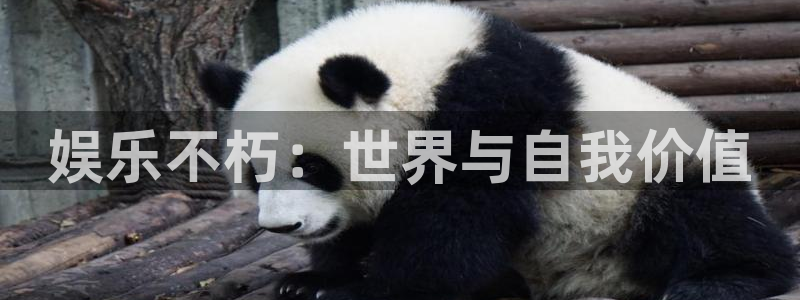 伟德国际1946官网：娱乐不朽：世界与自我价值