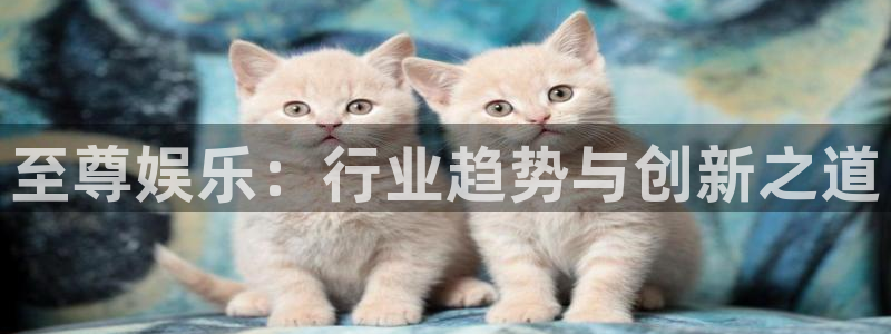 伟德app下载：至尊娱乐：行业趋势与创新之道