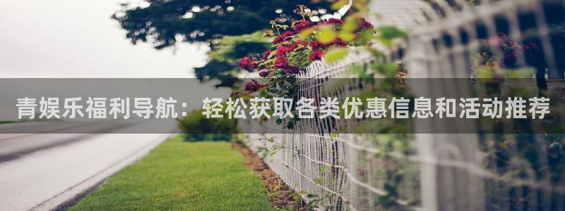 伟德国际1949：青娱乐福利导航：轻松获取各类优惠信息和活动推荐