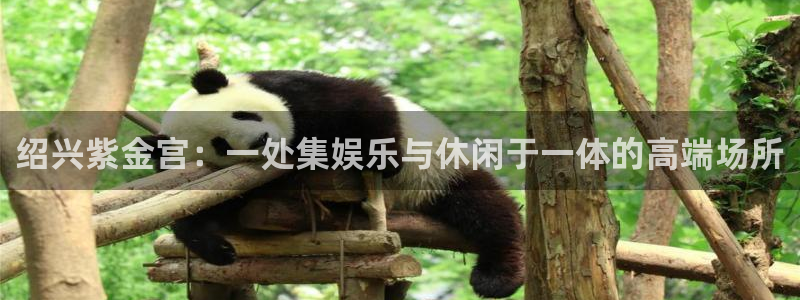 伟德国际：绍兴紫金宫：一处集娱乐与休闲于一体的高端场所