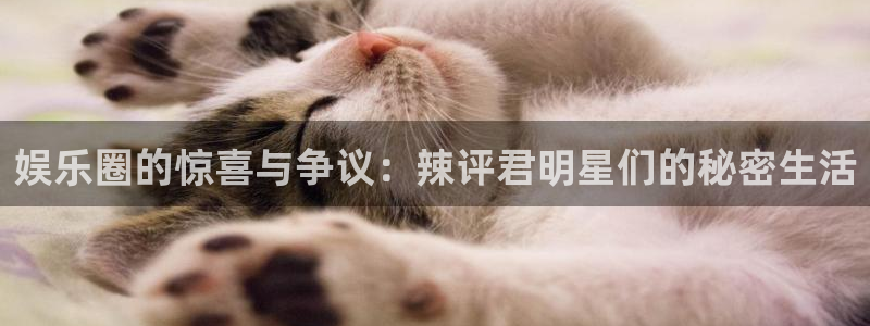 伟德国际1946官网：娱乐圈的惊喜与争议：辣评君明星们的秘密生活