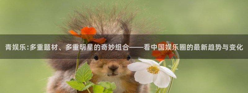 伟德国际app