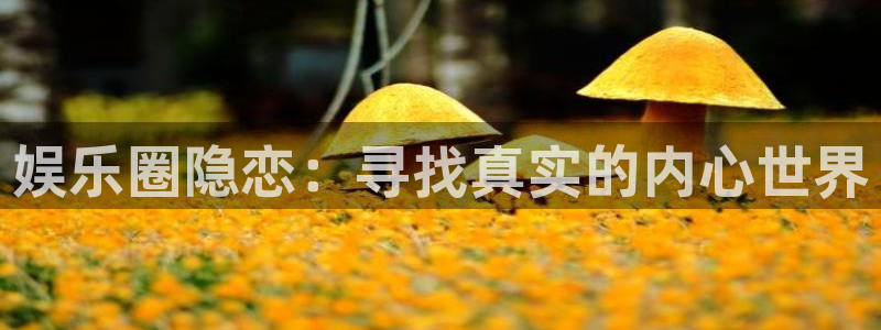 伟德国际公司